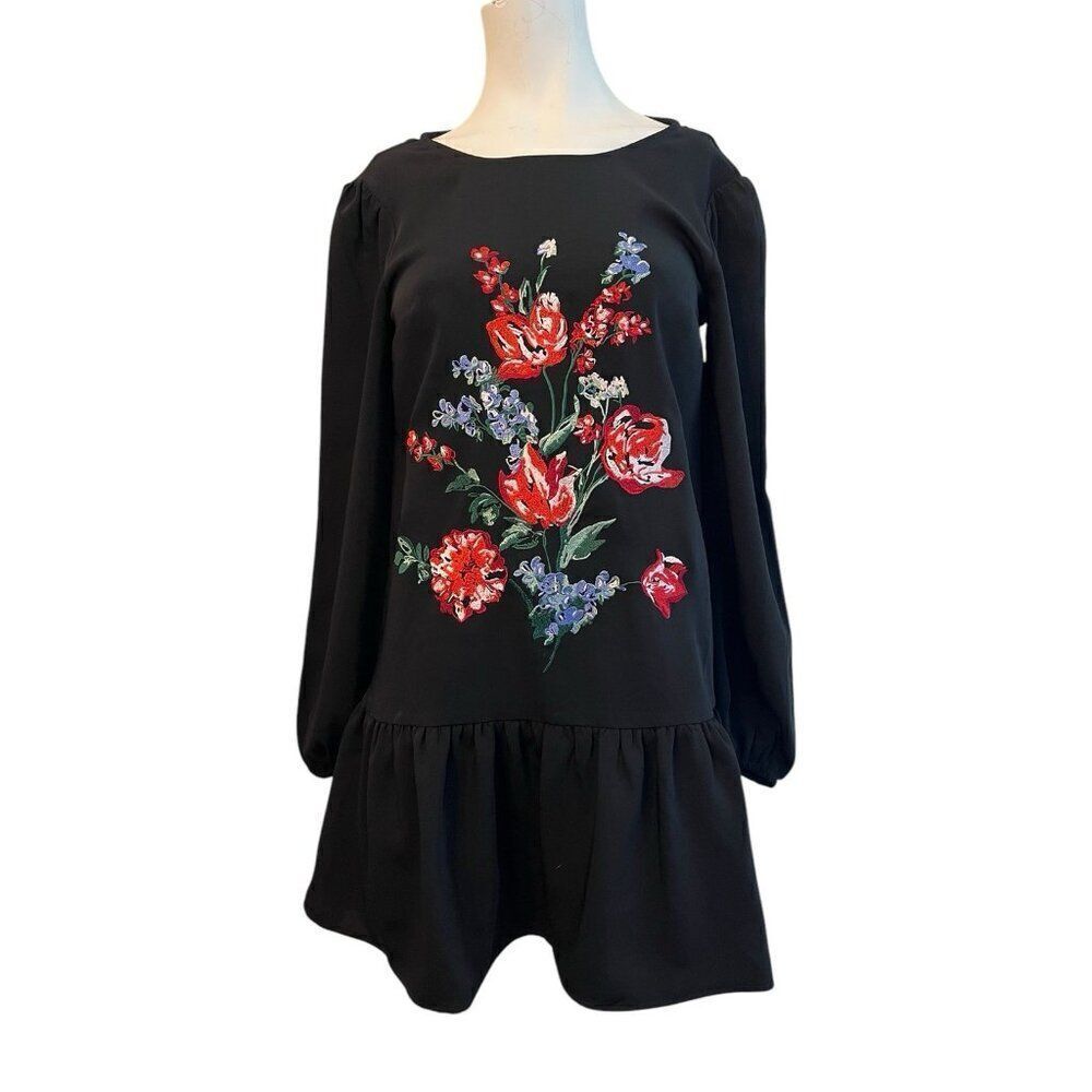 Express XS Black Floral Embroidered Mini Dress Drop Waist Long Sleeve Ruffled